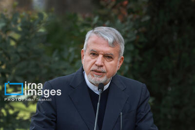 صالحی امیری: مدیران اجرایی در استان‌ها بسته‌های سرمایه‌گذاری به بخش خصوصی ارایه دهند