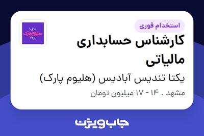 استخدام کارشناس حسابداری مالیاتی - خانم در یکتا تندیس آبادیس (هلیوم پارک)