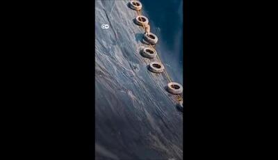 ویدئو بامزه از سرسره بازی کردن یک روباه