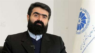 سامانه معاملات ارز تجاری تاکنون نتوانسته به نیاز تجار پاسخ روشنی دهد