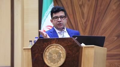 علیرضا کلاهی صمدی: راه‌اندازی صندوق ذخایر استراتژیک به صنایع کمک می‌کند +ویدئو