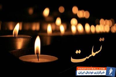 دبیر انجمن والیبال نشسته درگذشت - پارس فوتبال