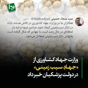 وزارت جهاد کشاورزی از «جهاد سیب زمینی» در دولت پزشکیان خبرداد