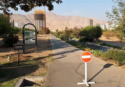 توقف ساخت و ساز در اطراف باغ گیاه‌شناسی با ورود دستگاه قضائی - شهروند آنلاین