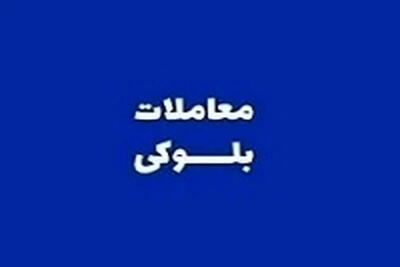 سهام شرکت پتروشیمی امیرکبیر ناکام ماند/ این بار  این سهام با کاهش وارد بازار سهام می شود