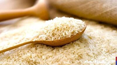 بازار برنج در آستانه شوک قیمتی