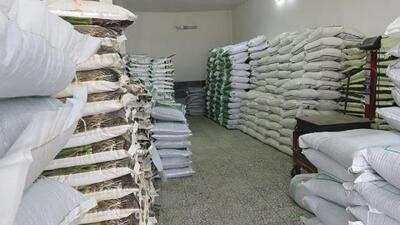 تامین بذر شلتوک اصلاح شده برای برنجکاران مازندران