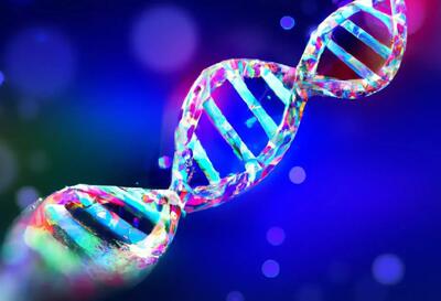 کشف تحول‌ساز در علم ژنتیک: ماشین‌های DNA می‌توانند تغییر مسیر دهند!