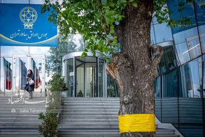 تصمیم‌‌‌‌‌‌های نابهنگام  و  بحران نقدینگی!
