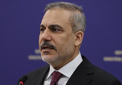فیدان: پیشنهاد ترامپ درباره مردم غزه برخلاف حقوق انسانی است - تسنیم