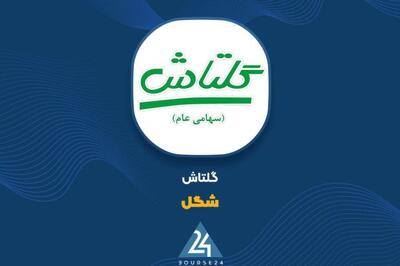 «شگل» از عملکرد یکساله خود گزارش داد