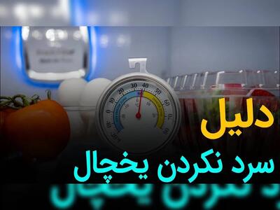 علت خنک نشدن یخچال / این موارد را سریعا چک کنید