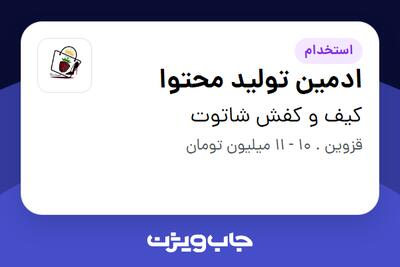 استخدام ادمین تولید محتوا در کیف و کفش شاتوت
