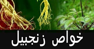 خواص زنجبیل: از رفع کبد چرب تا کنترل گلوکز خون - سبک ایده آل