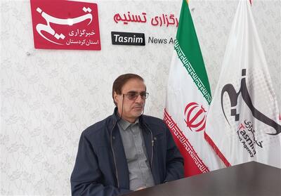 عملکرد ضعیف دستگاه‌های کردستان در فضاسازی دهه فجر - تسنیم