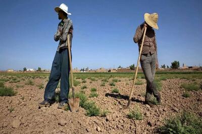 تقویت پروژه‌های عمرانی در مناطق روستایی از مطالبات اصلی نمایندگان مجلس