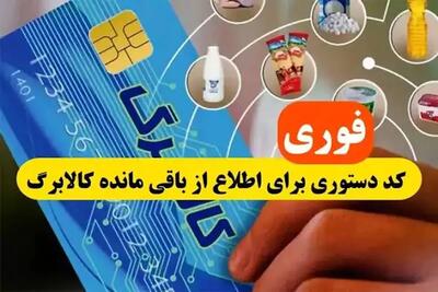 طرح جدید دولت برای پرداخت یارانه به سالمندان بالای ۶۰ سال در قالب کالابرگ تصویب شد اندیشه معاصر
