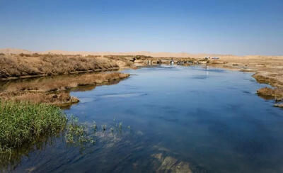 قصه پـر قصه «گـاو خـونی»