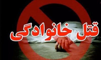 جزئیات قتل عام هولناک ۲ خانواده/ مردی زن و بچه‌هایش را کشت