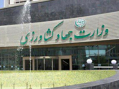 پرداخت ۱۰۰ درصدی سهم دولت به چای‌کاران