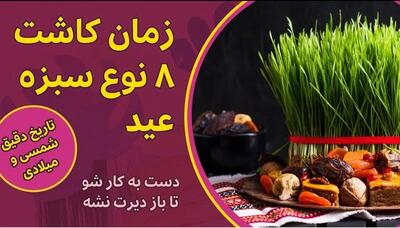 چه زمانی سبزه عید را بکاریم؟ بهترین زمان کاشت ۸ نوع سبزه نوروزی