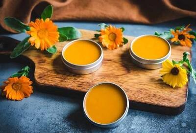 گل همیشه بهار؛ داروخانه دنیای گیاهان!