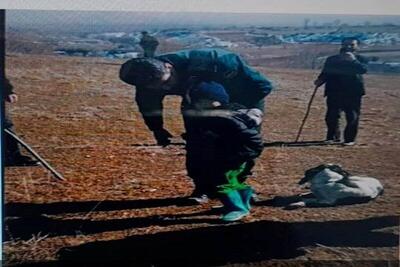 کودک گمشده در اردبیل به آغوش خانواده بازگشت