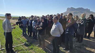 اردوی راهیان پیشرفت کشاورزی در فارس برگزار شد