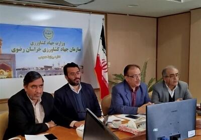 افزایش تولید گندم، پنبه و جو در خراسان رضوی - تسنیم
