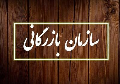 دولت لایحه ایجاد سازمان بازرگانی و تنظیم بازار را پس گرفت - تسنیم