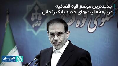 جدیدترین موضع قوه قضائیه درباره فعالیت‌های اقتصادی بابک زنجانی/ جزئیات تازه از ترور قاضی مقیسه و رازینی+ فیلم