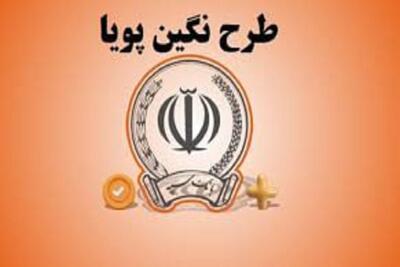 شرایط وام ۳۰۰ میلیونی بانک سپه بهمن ۱۴۰۳ / چگونه وام بدون ضامن بگیریم؟