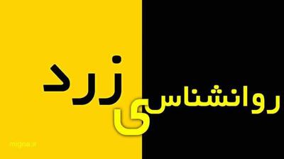 میگنا - نقش بلاگرهای بی محتوا در تولید روان شناسی زرد
