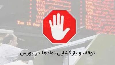 اعلام اسامی ۱۷ نماد متوقف شده در بورس