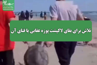 تلاش برای بقای لاکپشت پوزه عقابی یا فنای آن