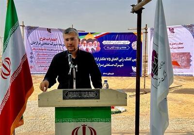 تعرفه صادرات گوجه فرنگی و خرما حذف شود - تسنیم