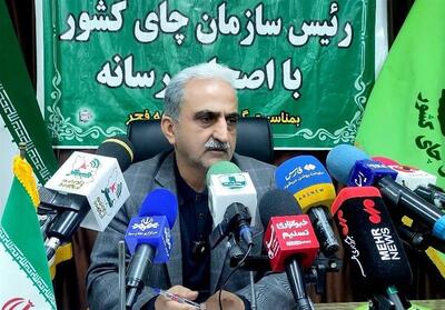 ویلاسازی در باغات چای/ 40 هزار تن چای مازاد وارد ایران شد! - تسنیم