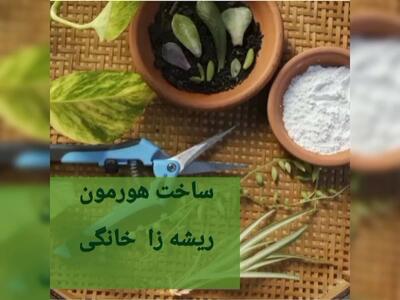 چگونه محلول گیاهی(کود تقویتی) بسازیم ؟