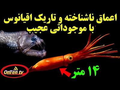 بشر هنوز ۹۵% اعماق اقیانوسها را نمیشناسد/ دنیایی تاریک و مرموز با موجوداتی عجیب!