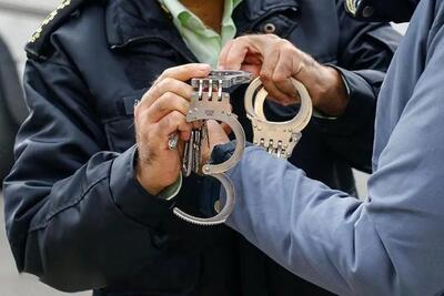 کشف  16اصله گرده بنه قاچاق در استان اردبیل