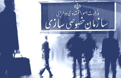 مدیران دولتی از واگذاری ترس دارند/ نبود ضمانت اجرایی چالش واگذاری شرکت‌های دولتی