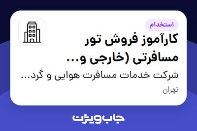استخدام کارآموز فروش تور مسافرتی (خارجی و داخلی) در شرکت خدمات مسافرت هوایی و گردشگری مانیاپرواز رویایی