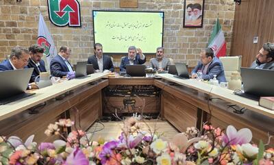 حضرتی : تاکید رئیس جمهوری استفاده از ظرفیت رسانه‌های محلی است |  شفقنا