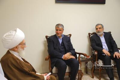گزارش تصویری: دیدار رئیس سازمان انرژی اتمی با حضرت آیت الله نوری همدانی |  شفقنا