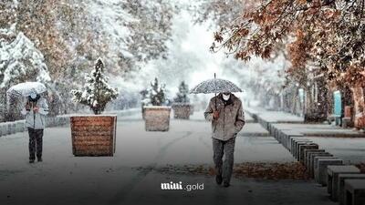 وضعیت آب و هوای تهران امروز یکشنبه ۱۴۰۳/۱۱/۲۱ + اطلاعیه اداره کل هواشناسی تهران