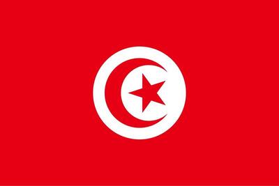 تاکید تونس بر مخالفت قاطع خود با طرح کوچاندن ساکنان غزه