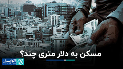 مسکن به دلار متری چند؟+ فیلم