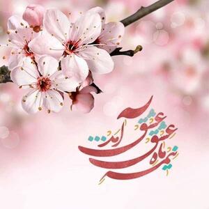متن تبریک نیمه شعبان به همسرم / جملات عاشقانه تبریک نیمه شعبان