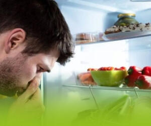 چطور از بوی بد یخچال جلوگیری کنیم؟ ۵ راهکار ساده و مؤثر - سبک ایده آل