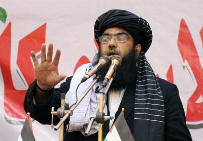 طالبان: نظام اسلامی کنونی متعلق به همه افغان‌هاست - تسنیم